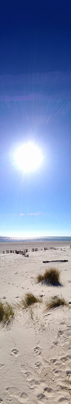 Strandbanner hoch
